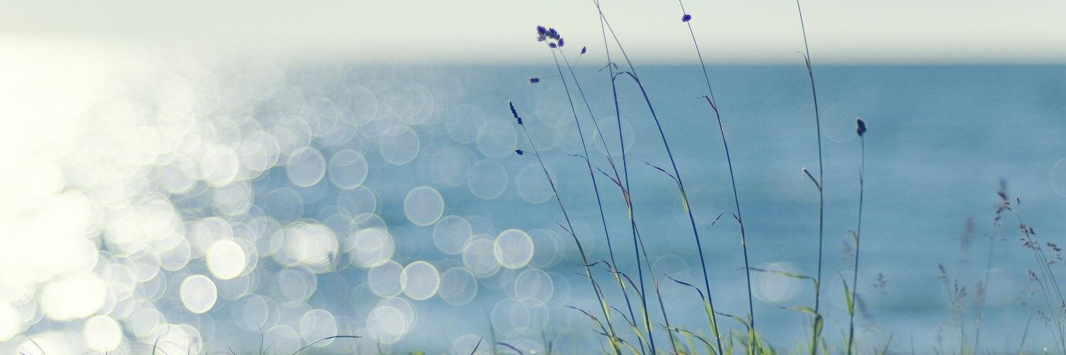 WElRDO's profile banner image