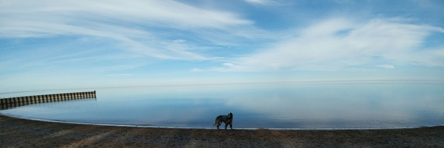 Bruce Mainzer 🇺🇦 banner