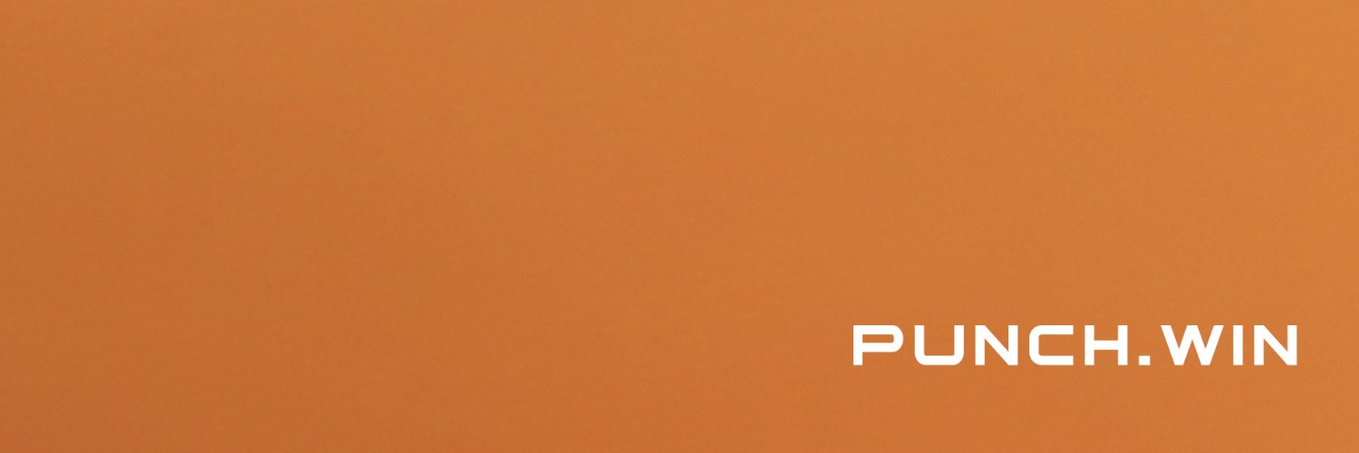 punchdotwin's profile banner image