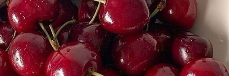 A𝗋𝖾𝗌𝗒𝖺 𑣲 F𝗒𝗈𝗒𝗈'𝗌 L𖹭𝗏𝖾𝗍𝖺𝗄𝖾𝗋 .ᐟ banner