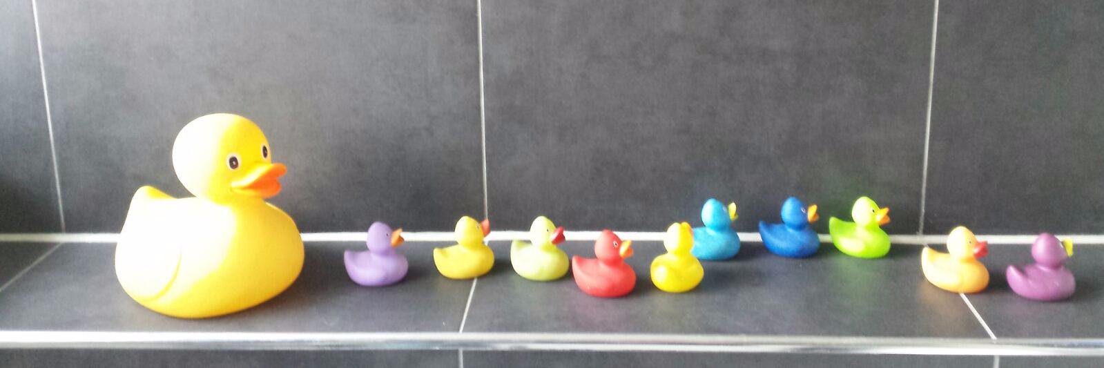 Margje aka Toet❤️🧡💛💚💙💜 banner