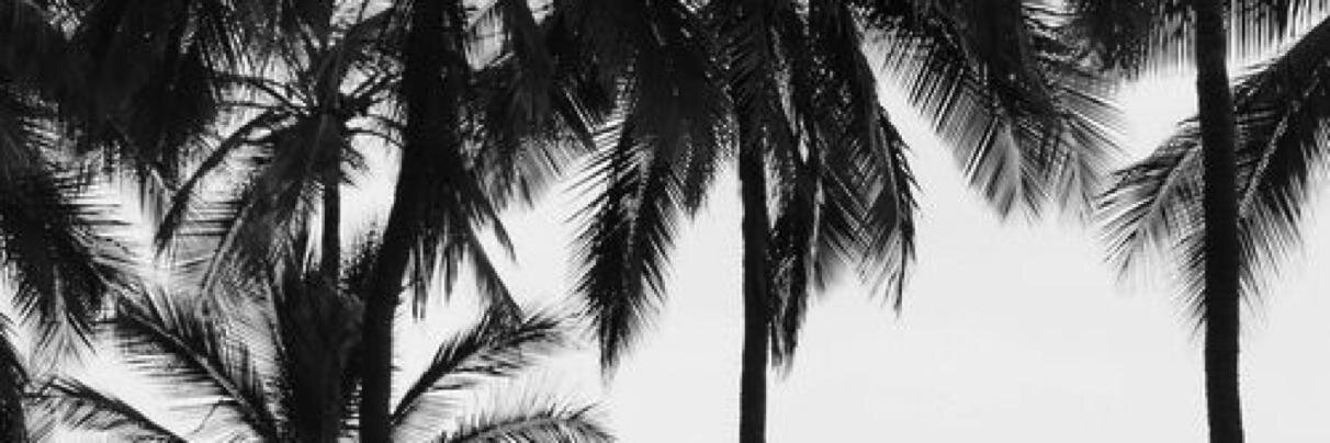bibiya's profile banner image