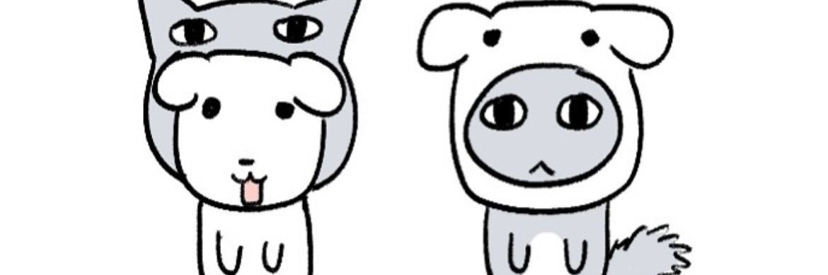 모지 banner