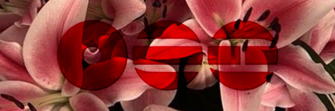 Vendirang⊙⊝⊜ ⁷ banner
