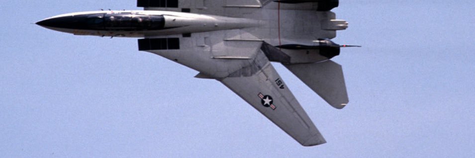 Goose banner