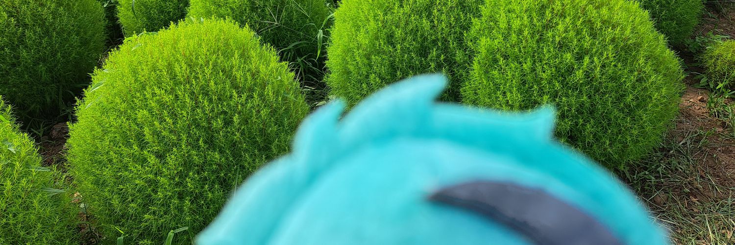 ぐるる☺︎🎀6m banner