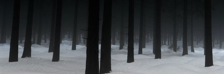 Traffic ╪┌╧╕╕╏⊚ banner
