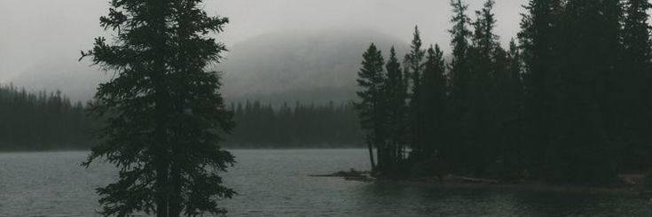 nyx ⚡︎ 🧙🏻‍♀️ banner