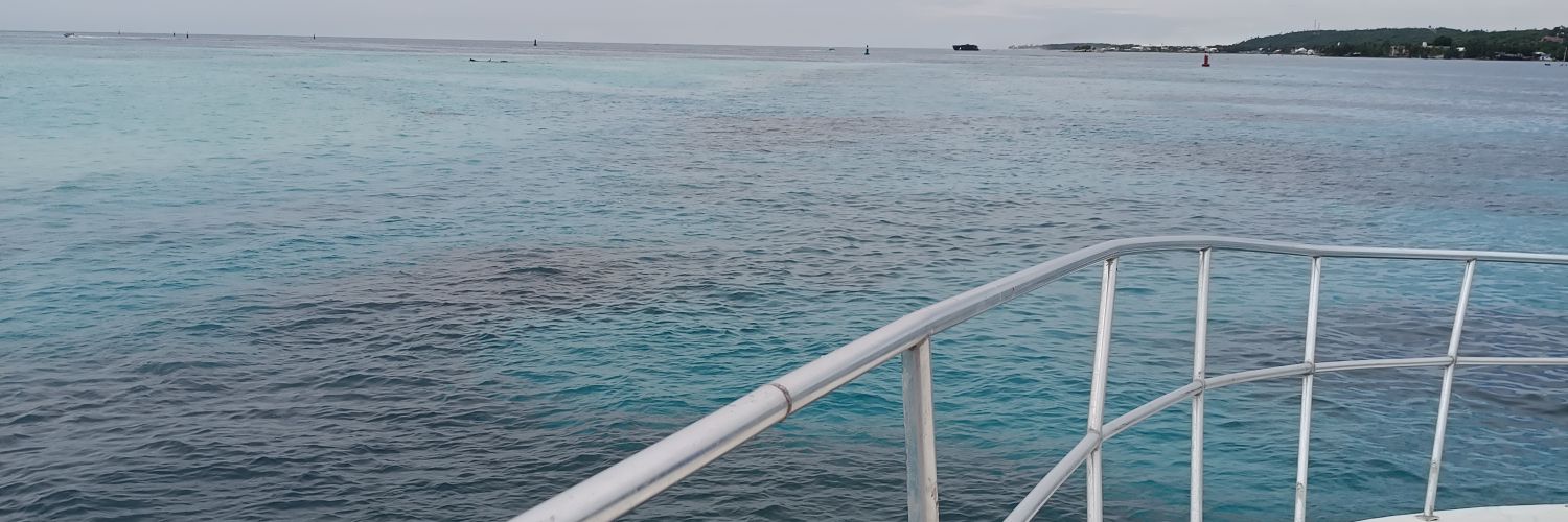 brayam morales banner