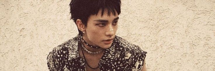 skz aus banner