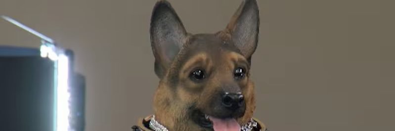 Barstool Queens banner