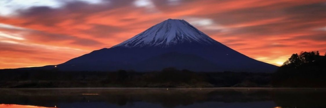 charopower's profile banner image