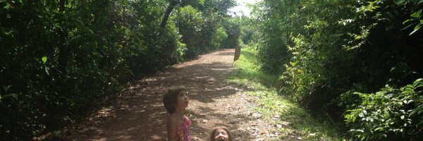 marladida Profile Banner