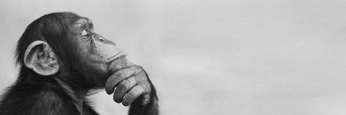 spotifyyemegi's profile banner image