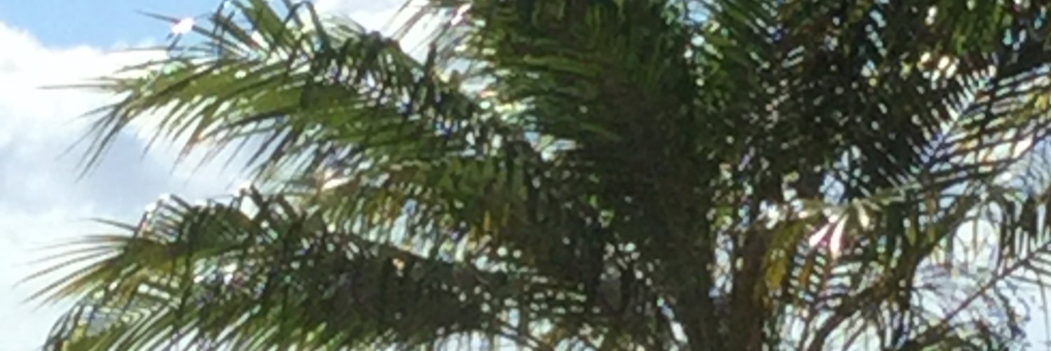 DRCHERYLANN's profile banner image
