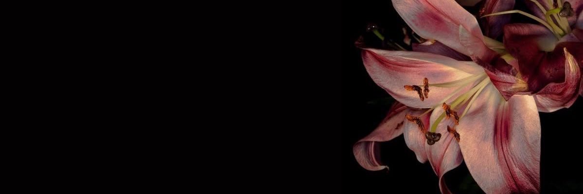 DaaackRack's profile banner image