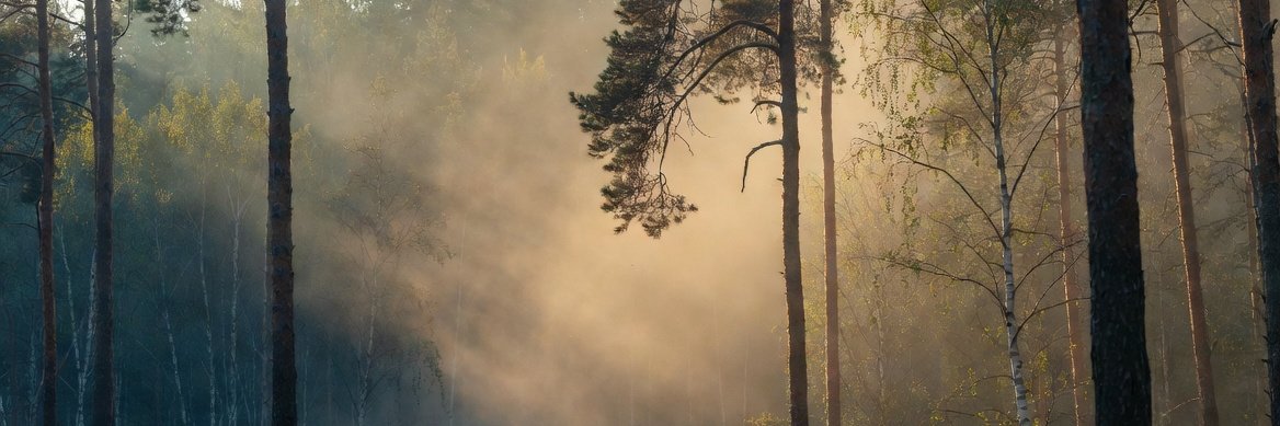 RusticStack's profile banner image