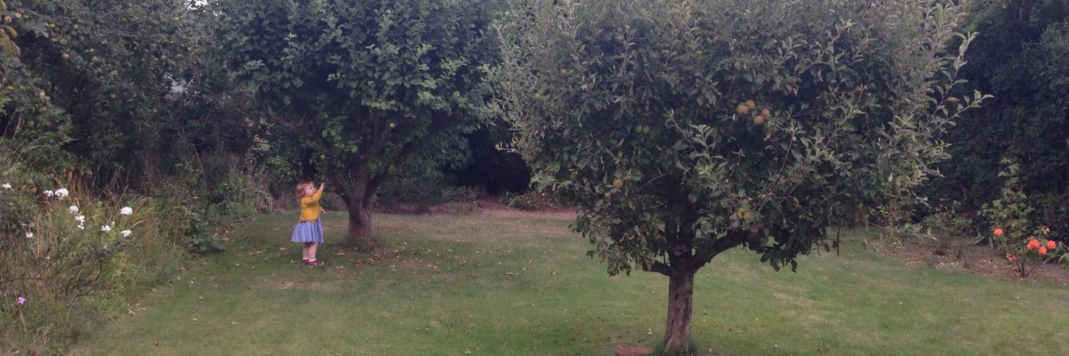 Elinor123's profile banner image