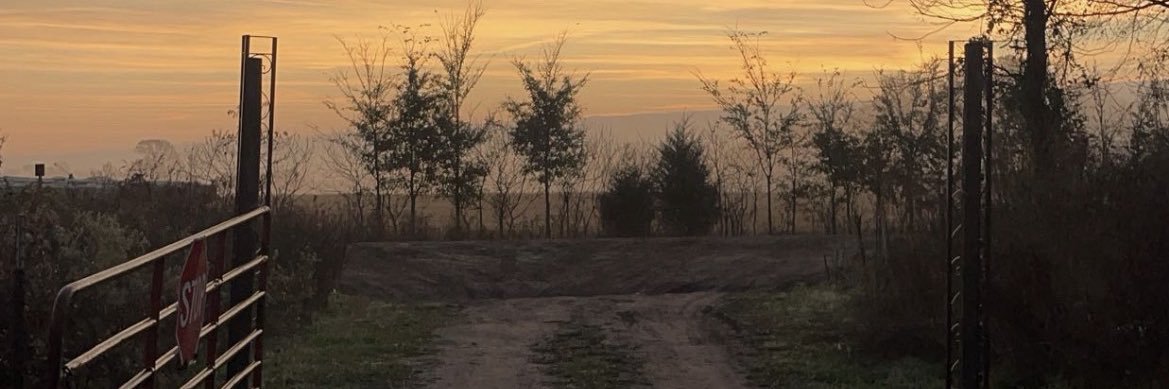 Sukunas belly mouth banner