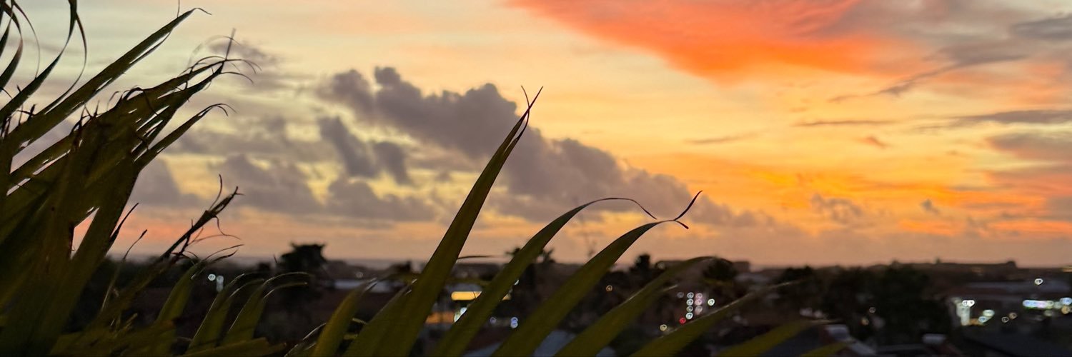 Melh1024's profile banner image