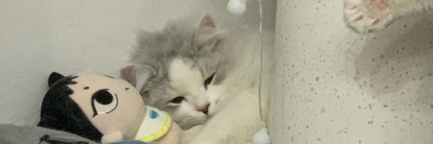 Mint_PMJ's profile banner image