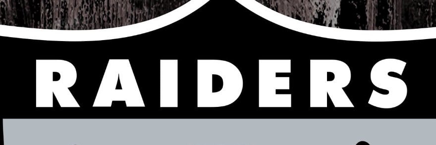 WonkaRaider banner