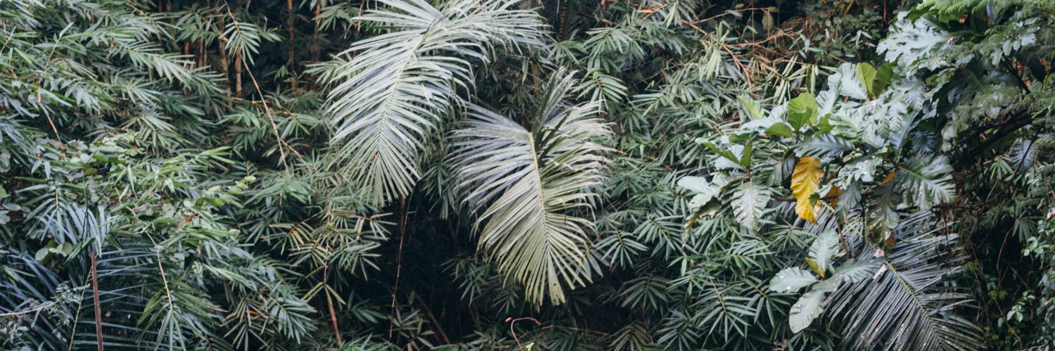 joedowdle's profile banner image