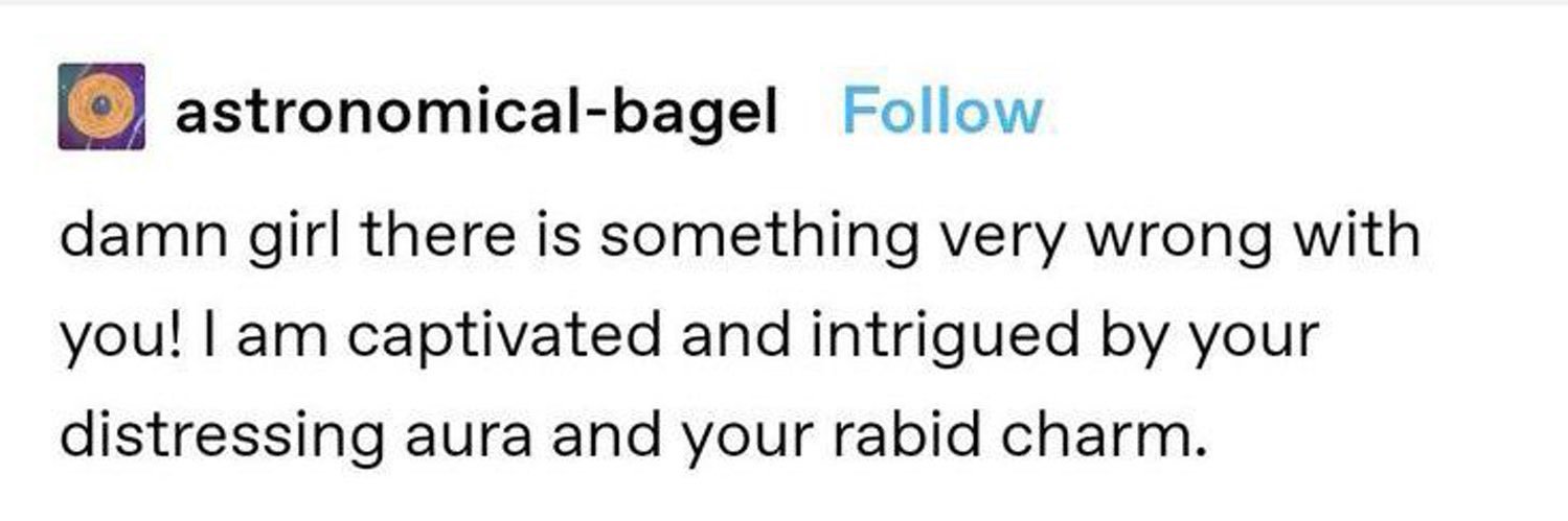 professional court jester banner