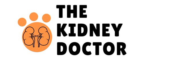 TheKidneyDoctor Profile Banner