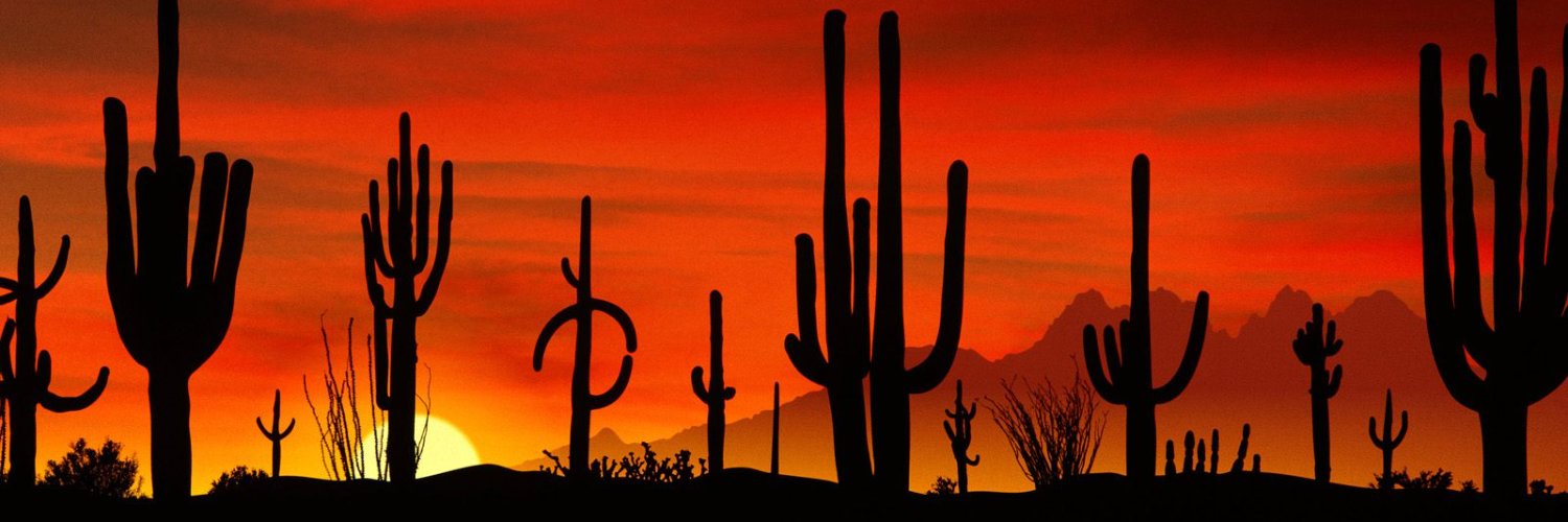 SindyReady's profile banner image