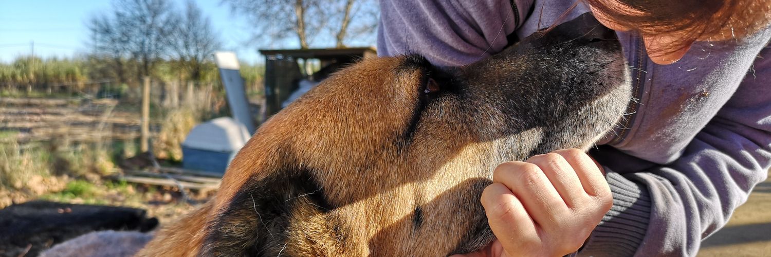 Animals del Maresme 🐾 banner