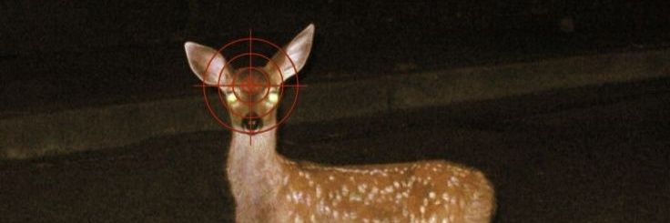 z0mbieman4's profile banner image