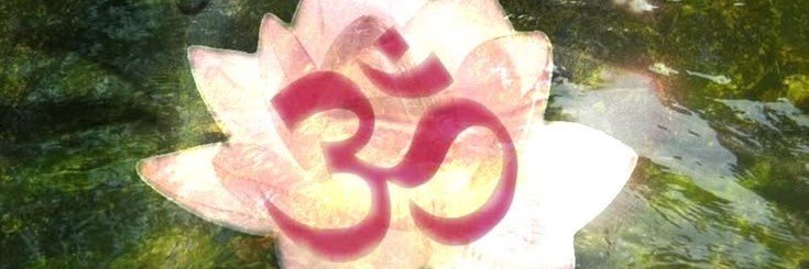 mpbsafica's profile banner image
