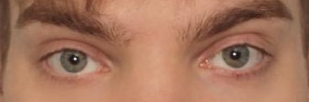 seva studennikov banner