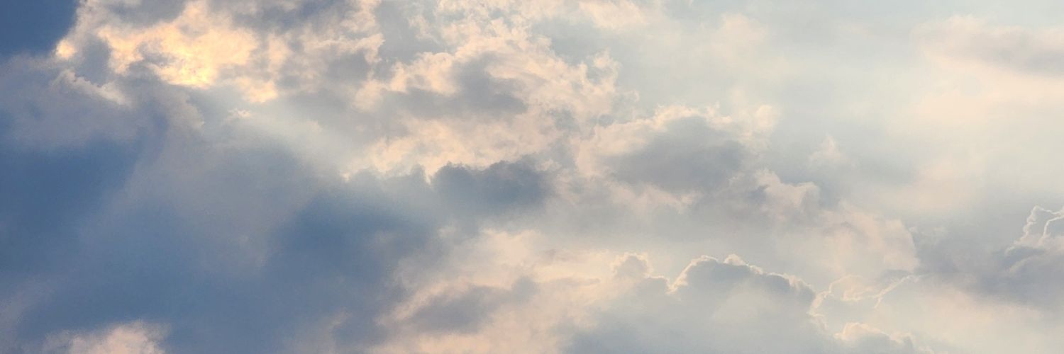 _TOJUNG's profile banner image