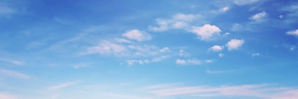 yareli01's profile banner image