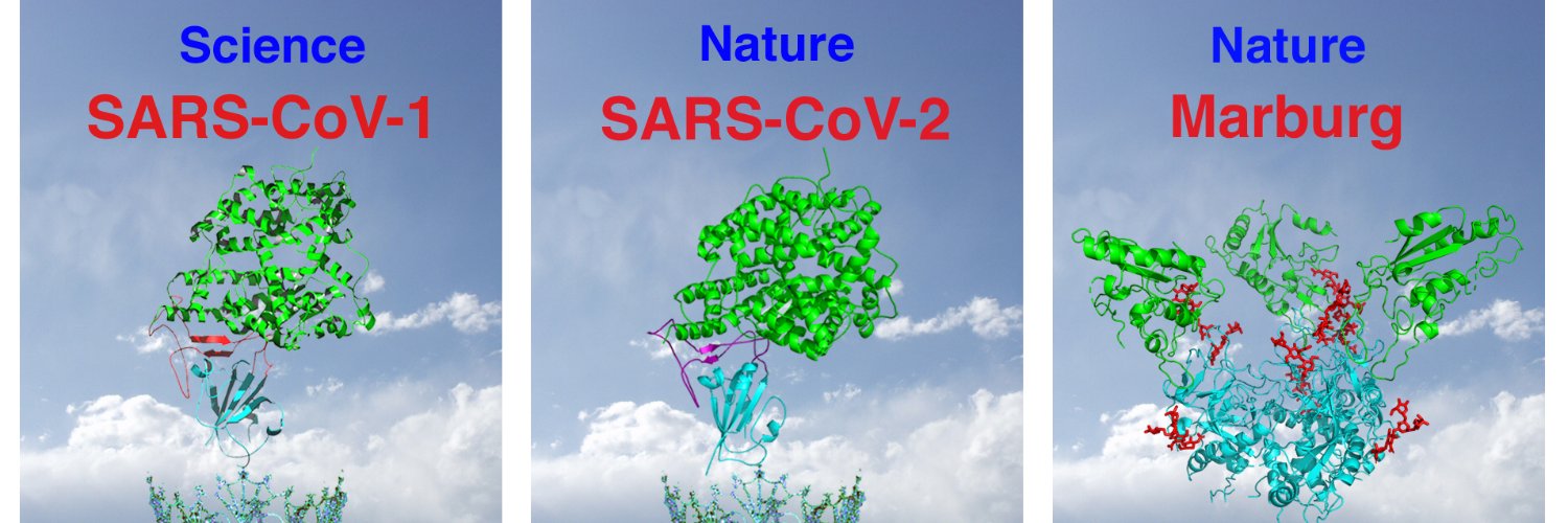 Fang Li Lab | UMN banner