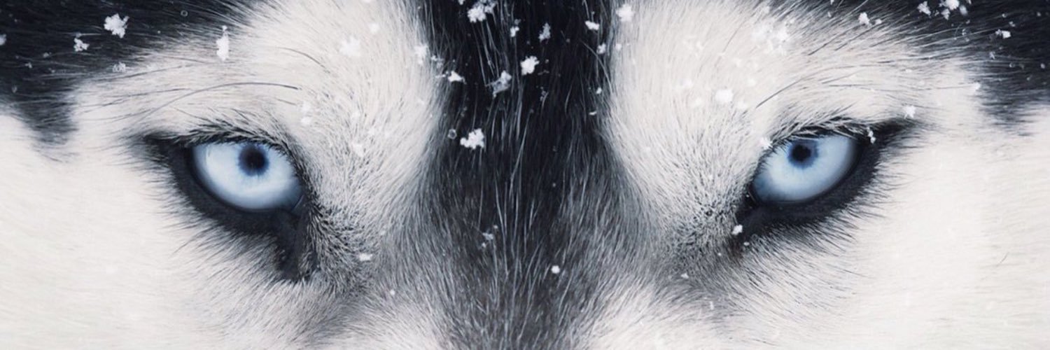 lori_somes's profile banner image