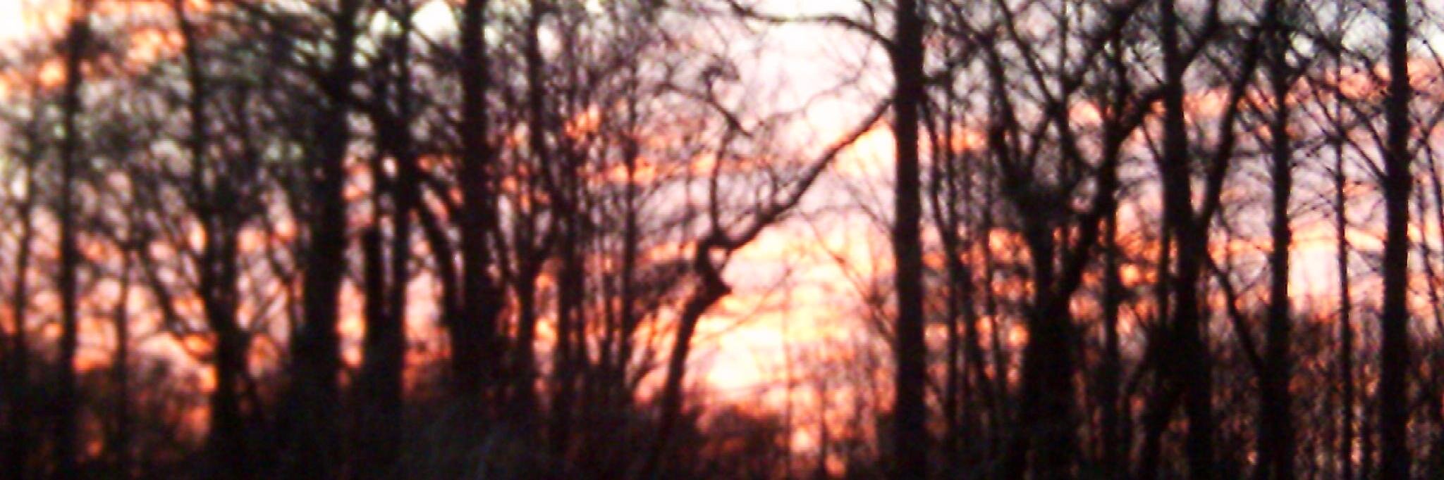 MrsMiller's profile banner image