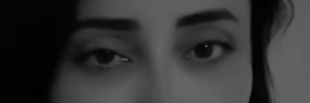 Papatyalar zamanı banner