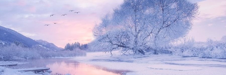 ່ banner