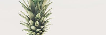 Nathaniel Smith banner
