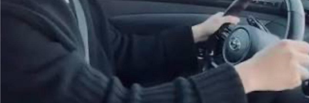 Justin Seagull 🪭 banner