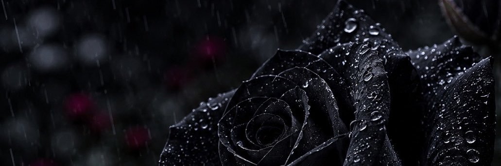 StrawBerryzxd's profile banner image