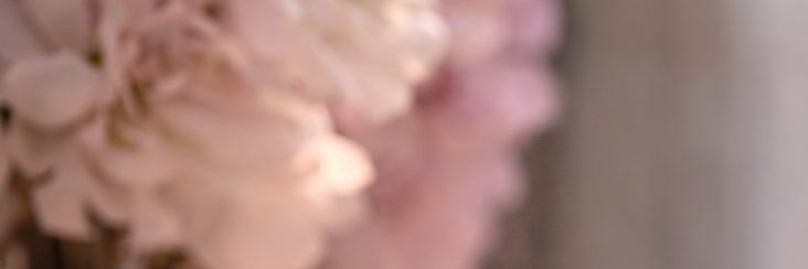 S banner