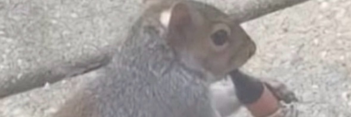 DISTORTEDF4G's profile banner image