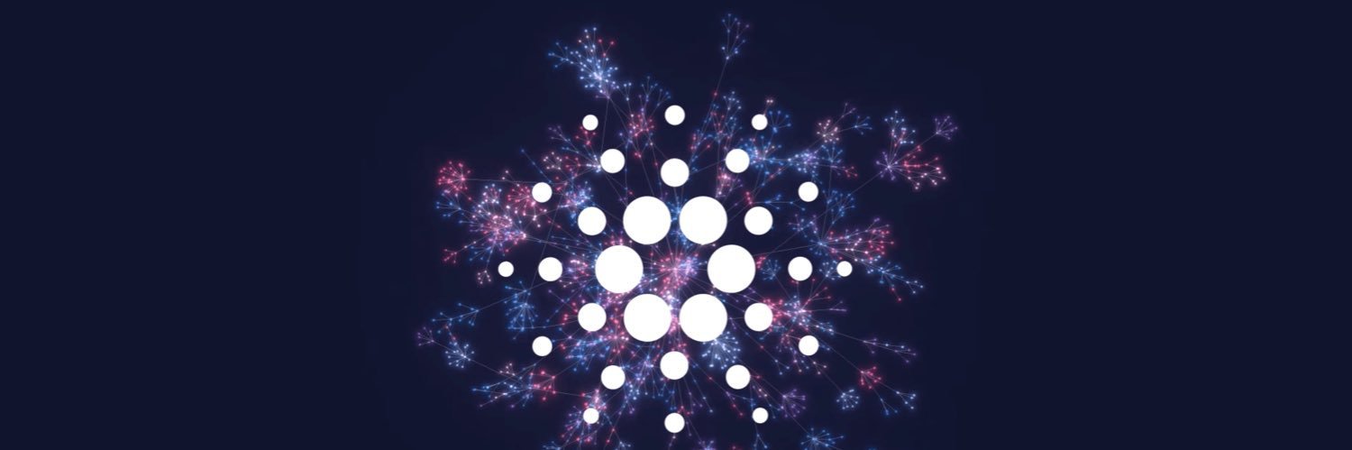 Melissa Thomas banner