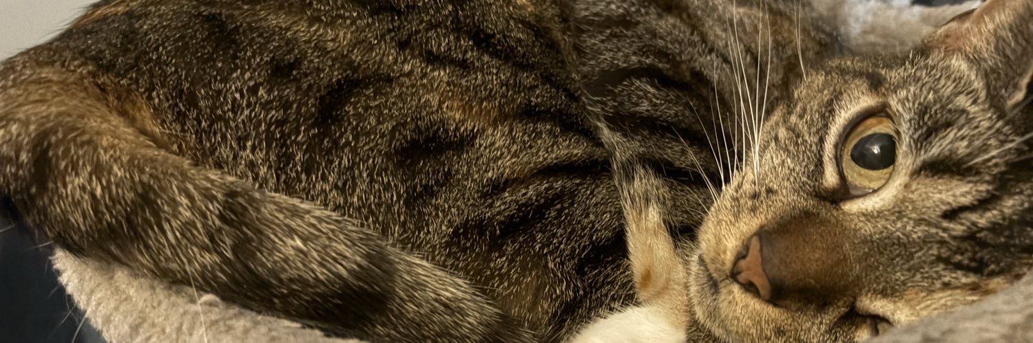 Euphoric banner