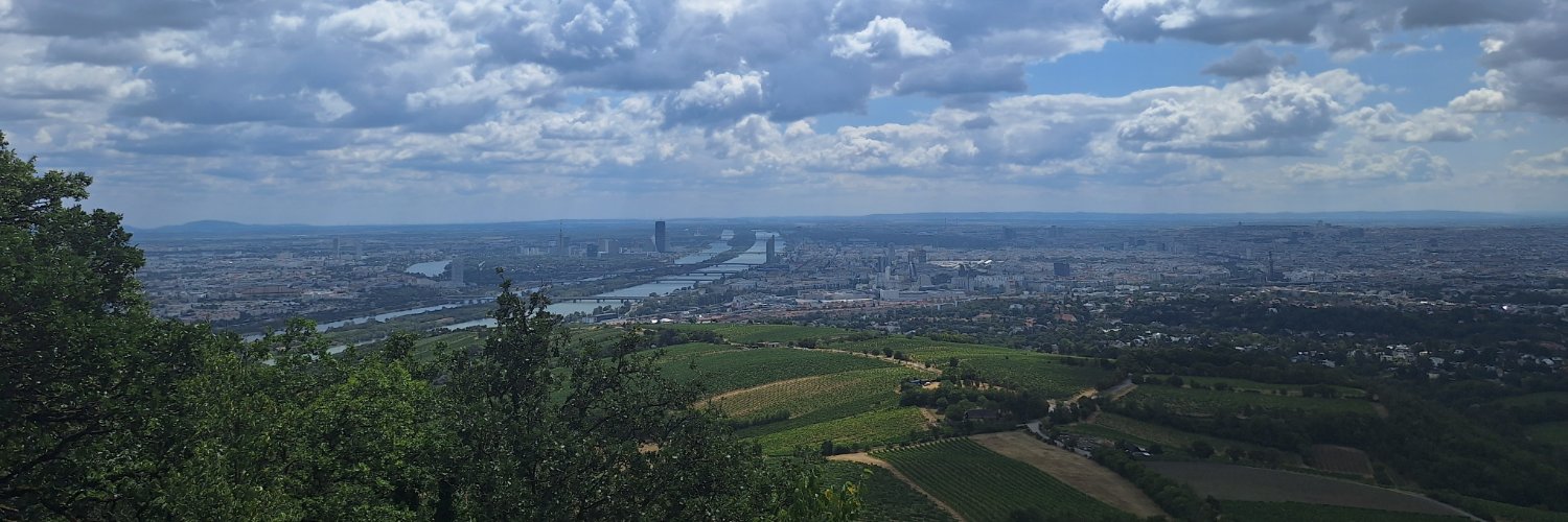 voegtin's profile banner image