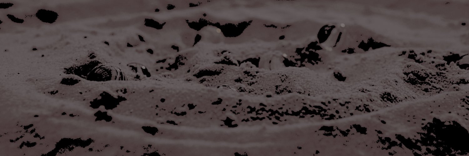 ‍† ‍ ‍ 𝙲𝙷𝙾 𝚂𝙰𝙽𝙶-𝚆𝙾𝙾. banner